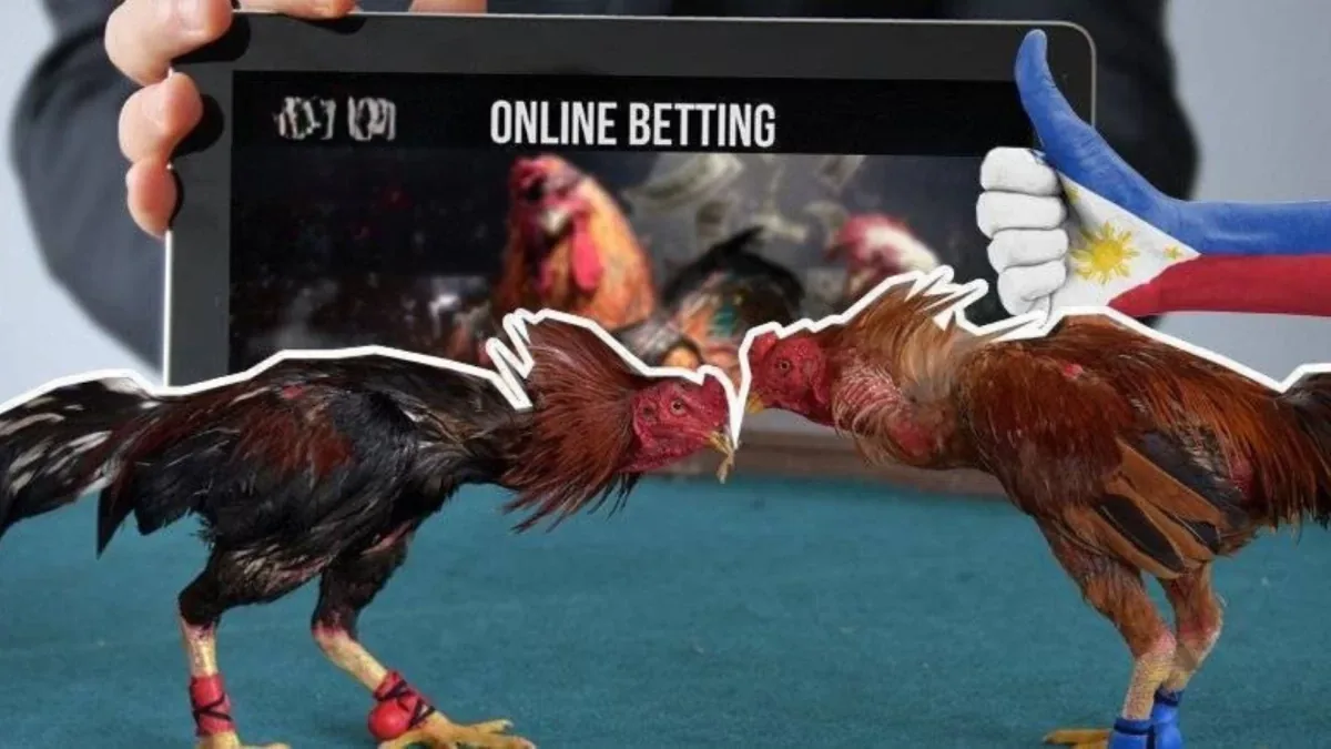 Online Sabong - gameplay and features on Hahaha777 Philippines